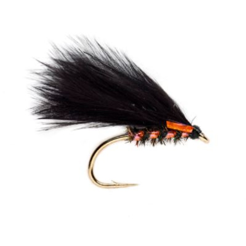 KJ UV Orange Cormorant