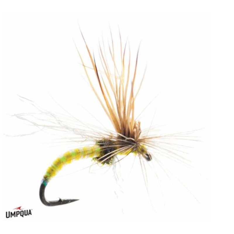 Mercer's Missing Link - Yellow