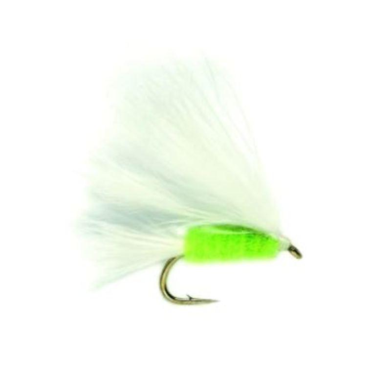 Mini Cat's Whisker