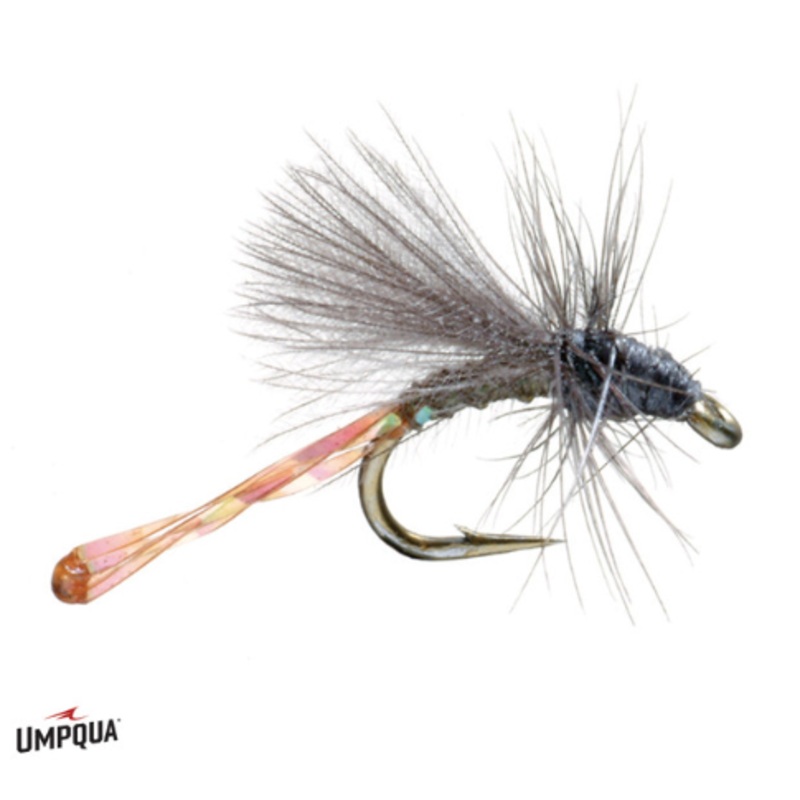 Morgan's Midge - Dark