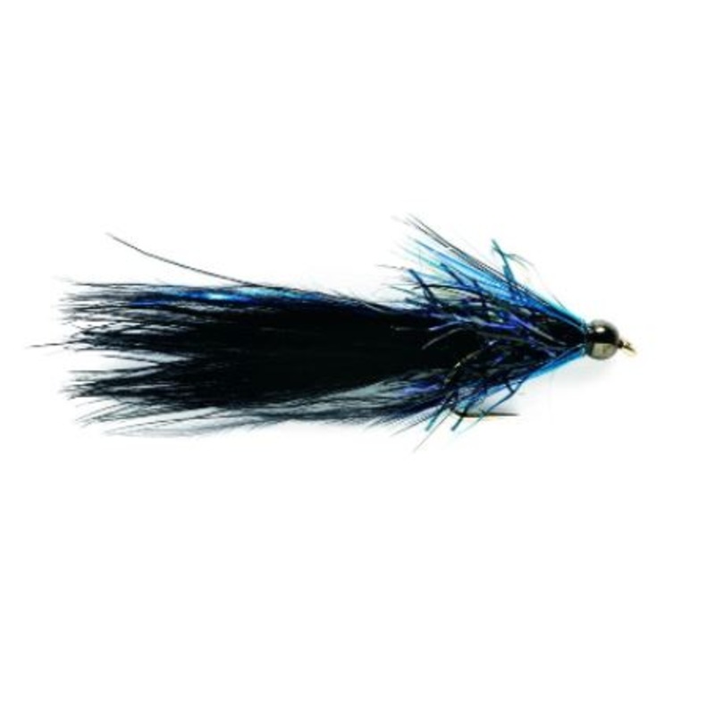 SR Black & Blue Taddy