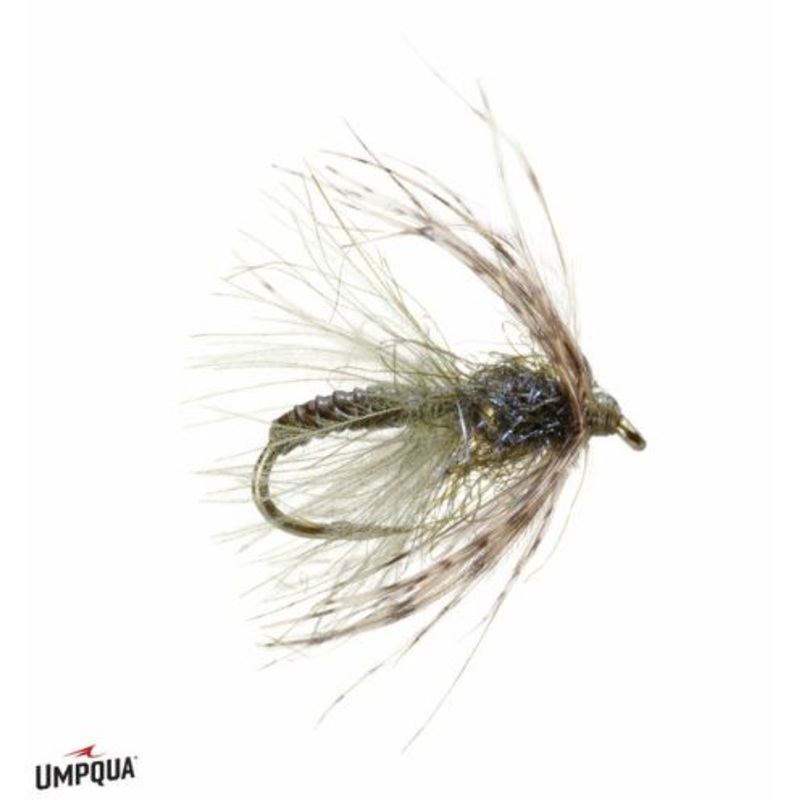 Swing Caddis (Tung) - Olive