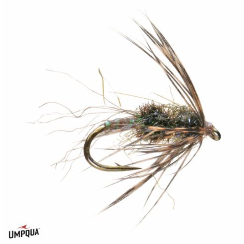 Swing Nymph Peacock