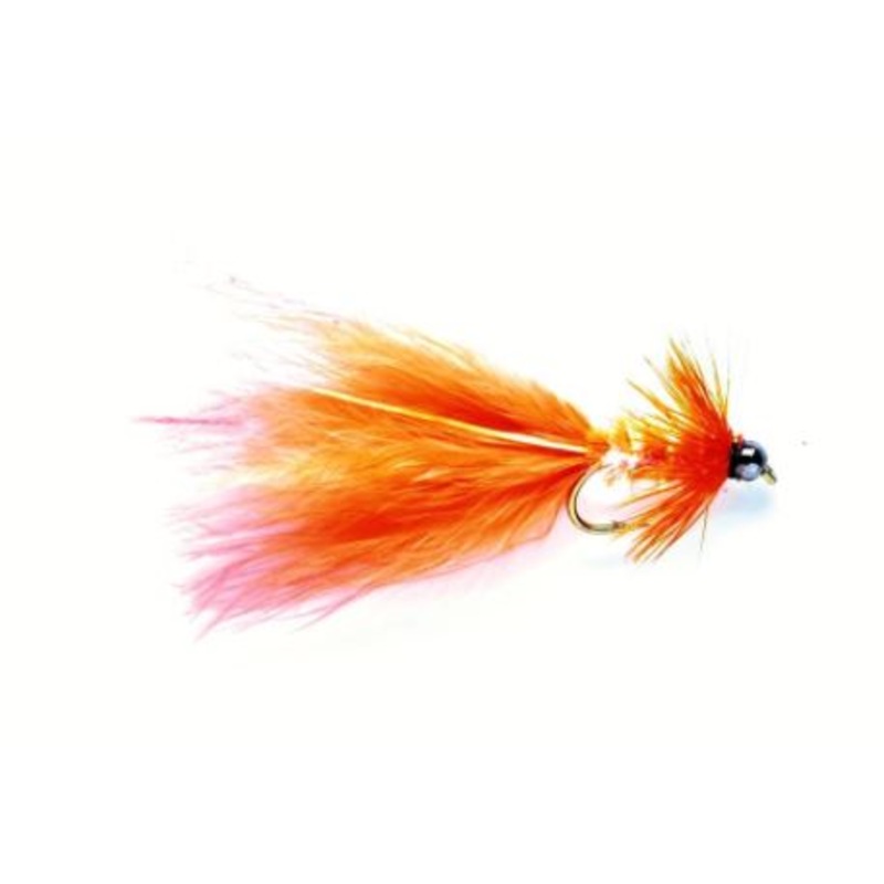 Terry's Taddy Coral