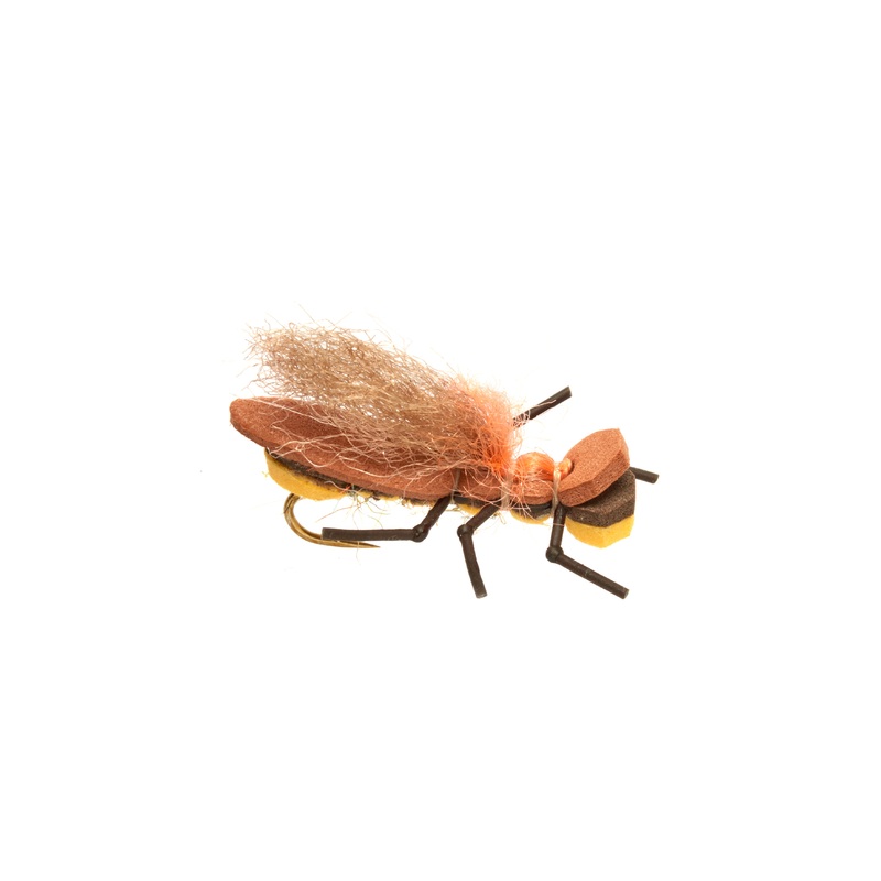 Burkus' Bearback Rider - Golden