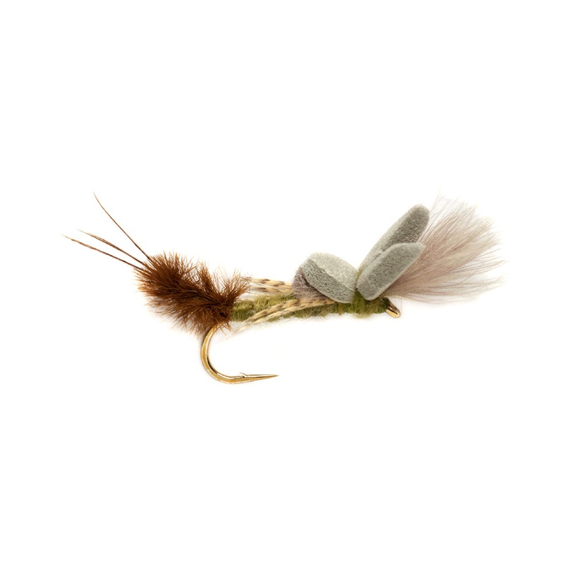 Burkus Flavilinea Cripple