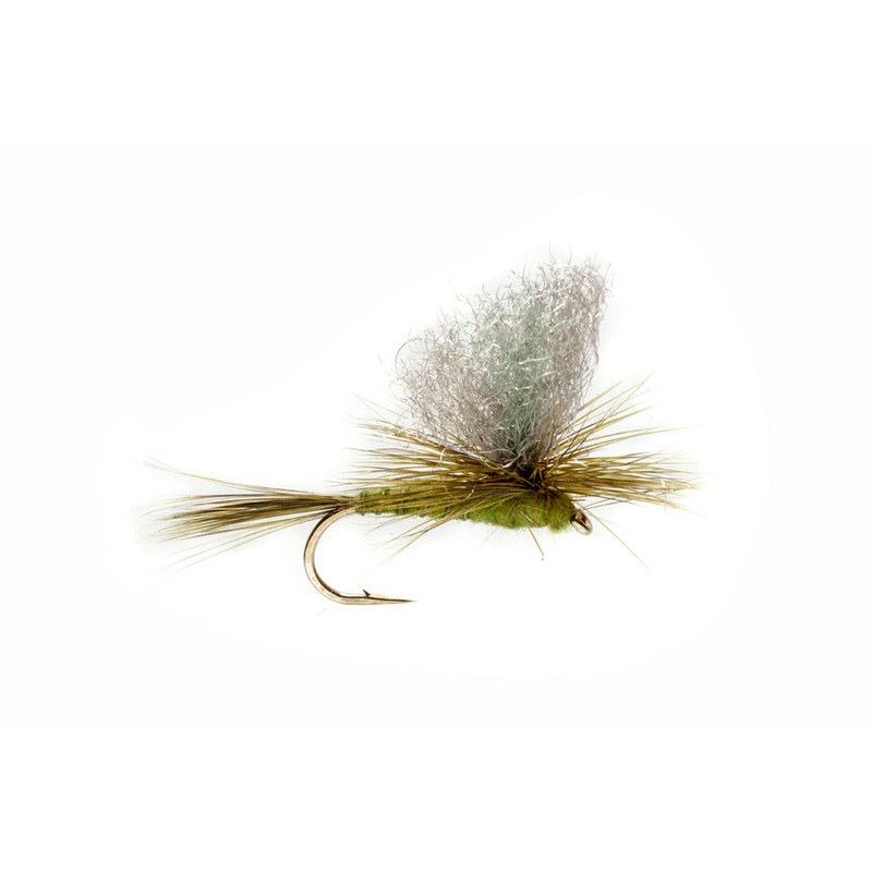 Burkus Green Drake Dun