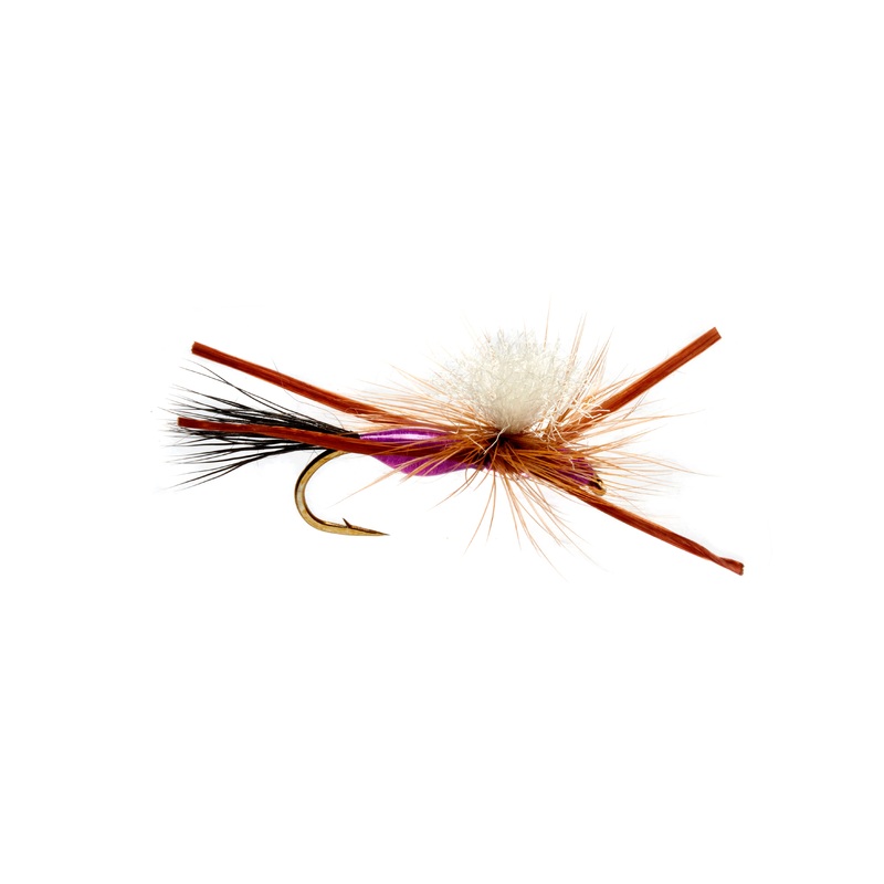 Burkus' Madison River Closer - Purple