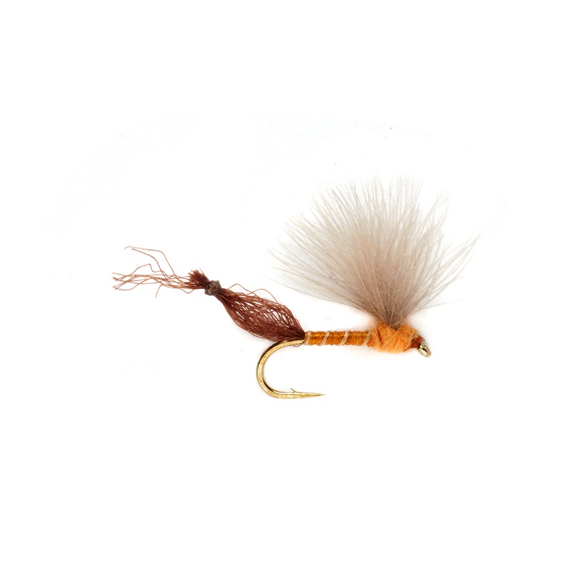 Burkus' Riffle Robber - Orange