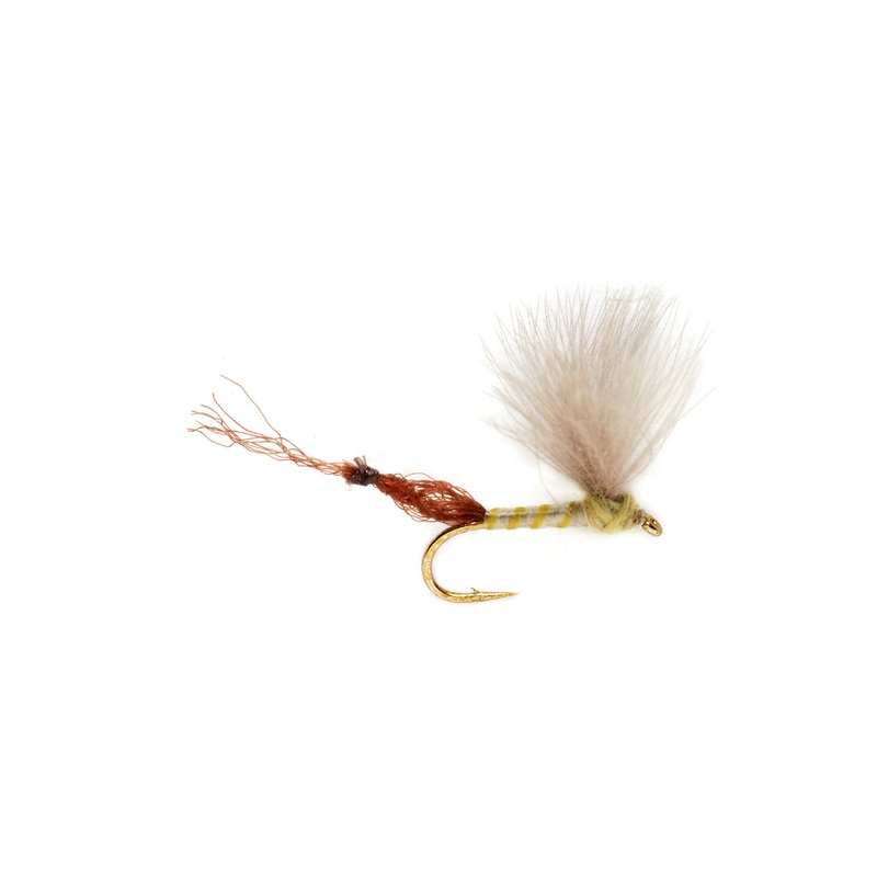 Burkus' Riffle Robber - Pale Olive