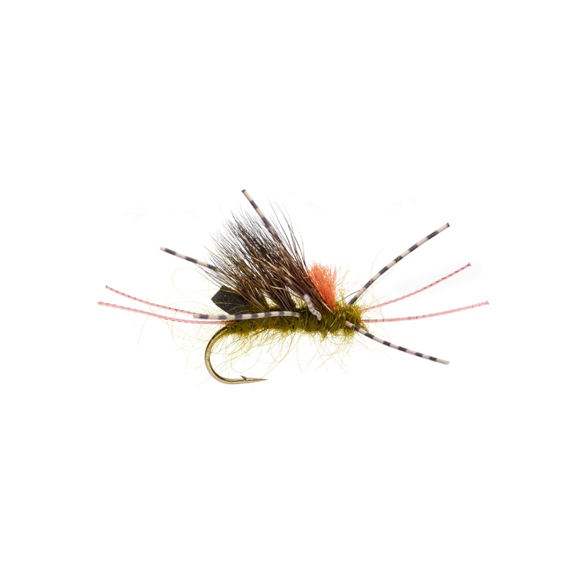 Burkus' Sedgeback Skwala