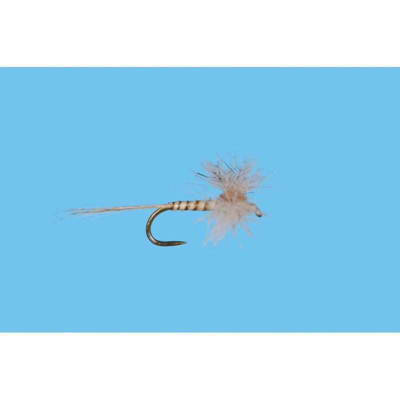CDC Biot Callibaetis Spinner