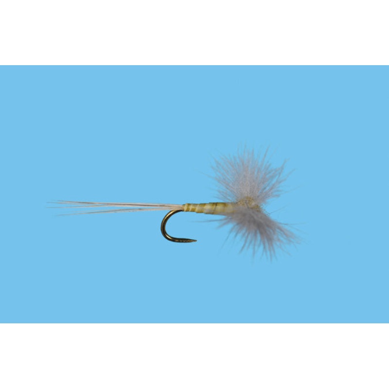 CDC Biot Spinner - PMD