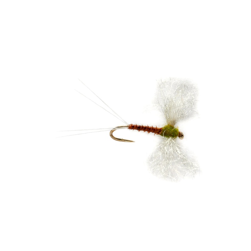 Elden's Flavilinea Spinner