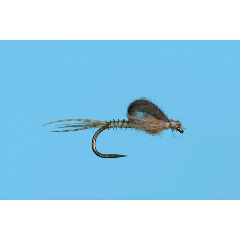 Harrop's Captive Dun - Callibaetis