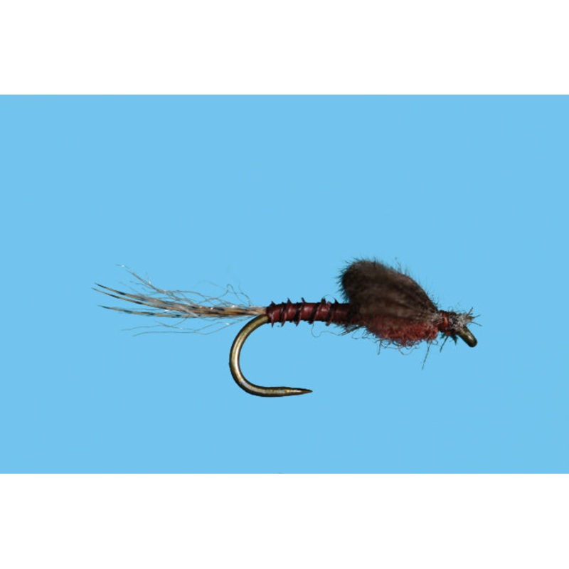 Harrop's Captive Dun - Mahogany