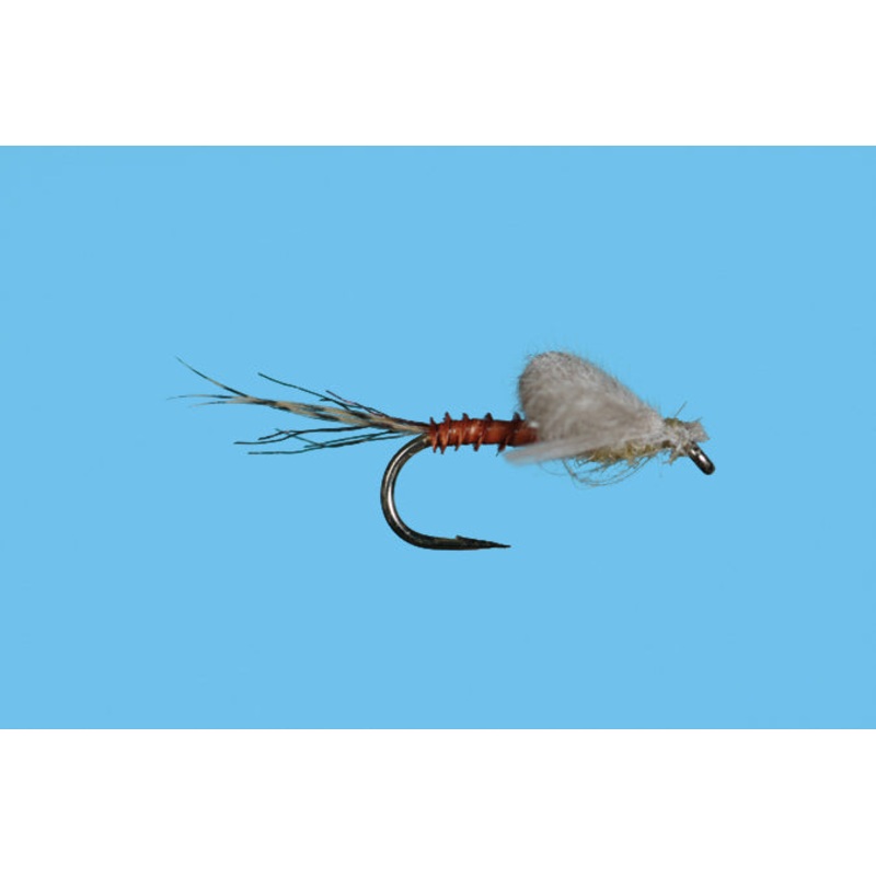 Harrop's Captive Dun - PMD