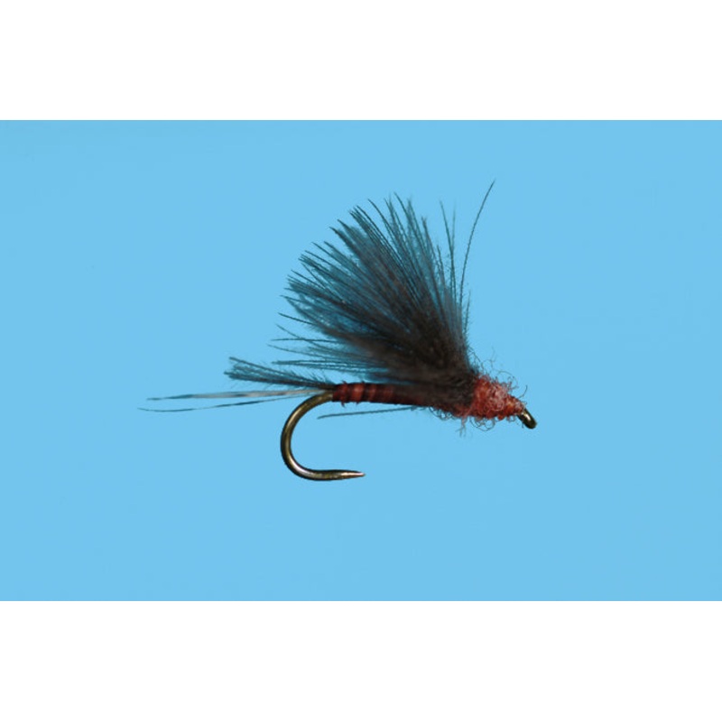 Harrop's CDC Biot Dun - Mahogany