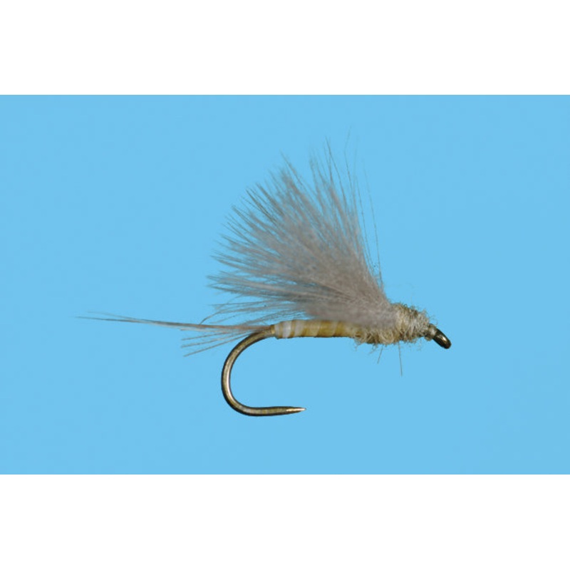 Harrop's CDC Biot Dun - PMD