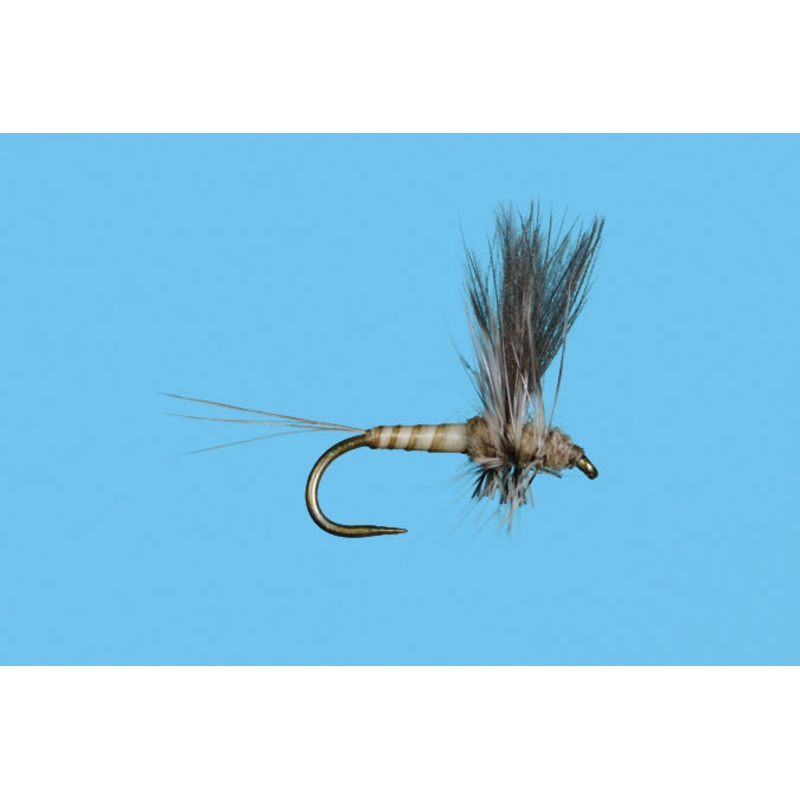 Harrop's CDC Thorax - Callibaetis