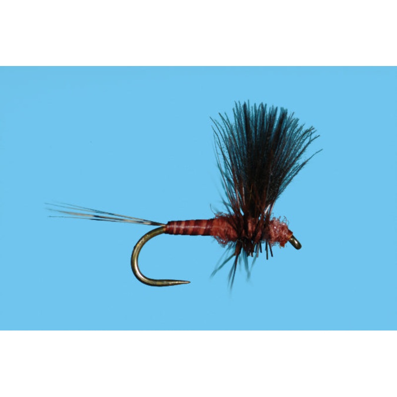 Harrop's CDC Thorax - Mahogany