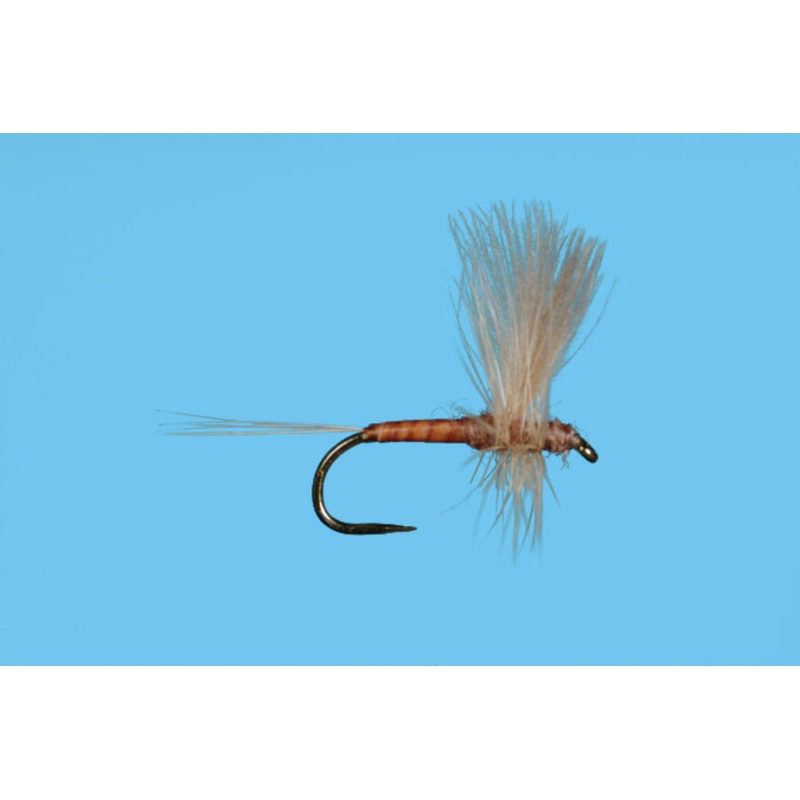 Harrop's CDC Thorax - Pink Albert