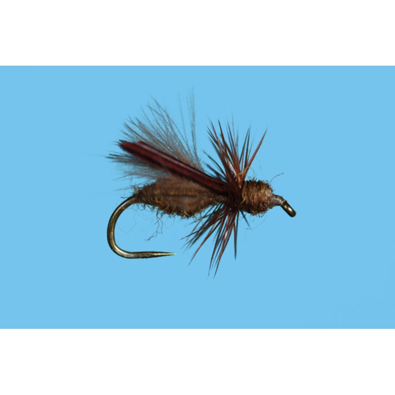 Harrop's CDC Water Wasp - Honey