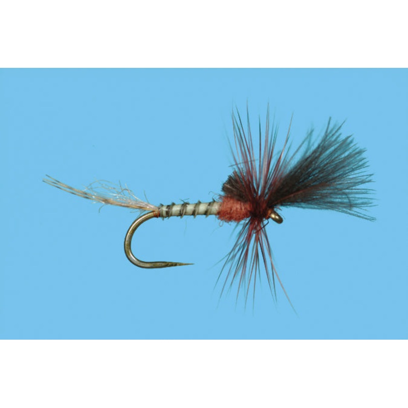Harrop's Last Chance Cripple - Mahogany