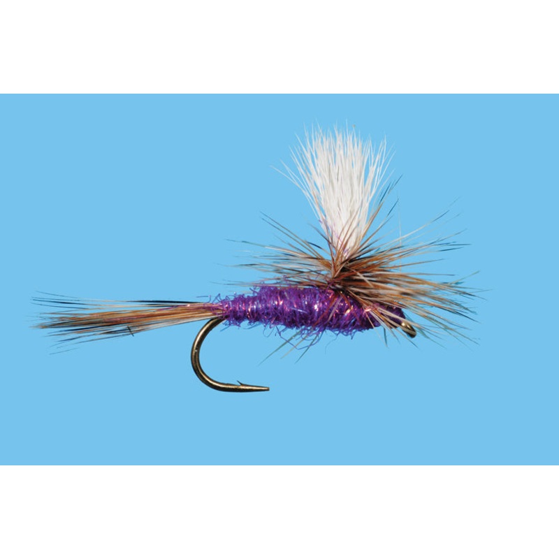 Para Adams - Sparkle Purple