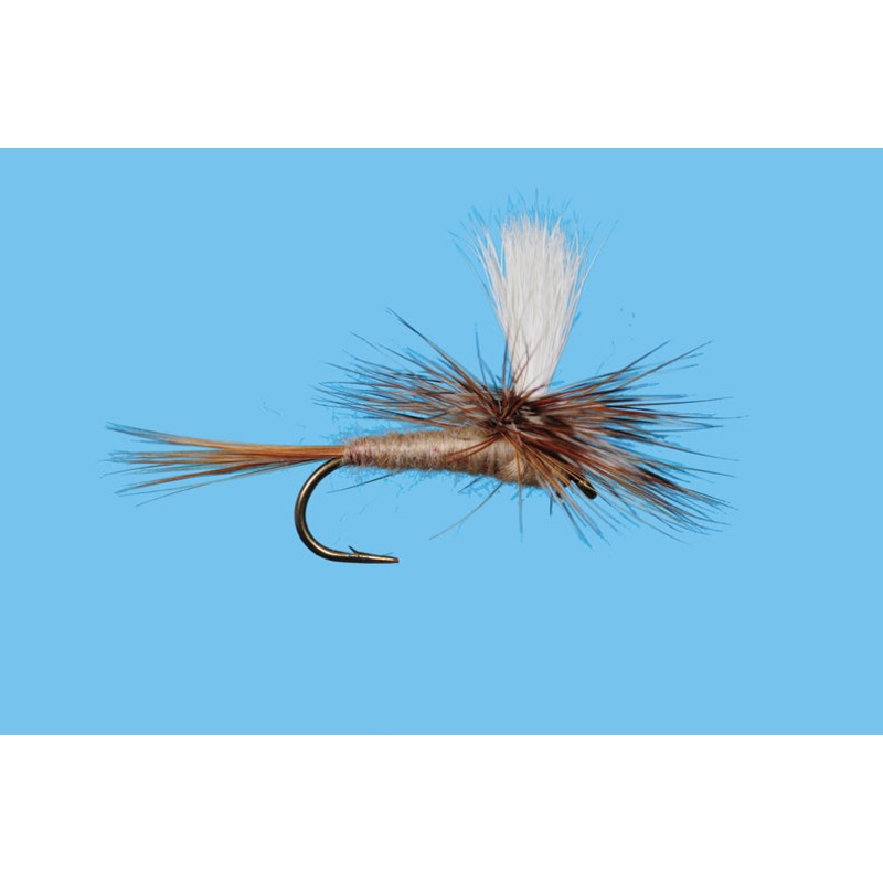 Parachute - March Brown