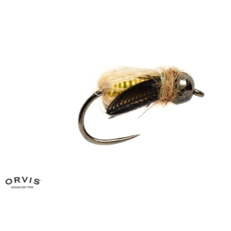 Tom Rosenbauer's Deep Caddis Pupa