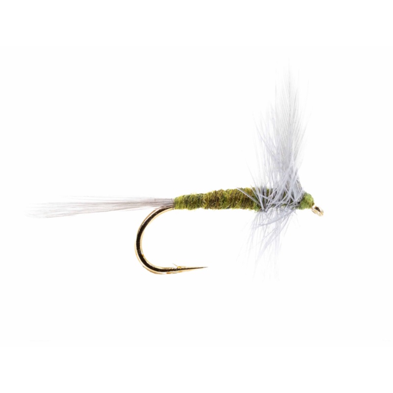 BWO