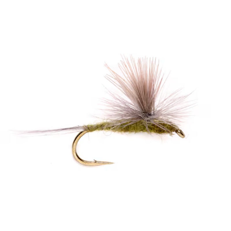 BWO Parachute