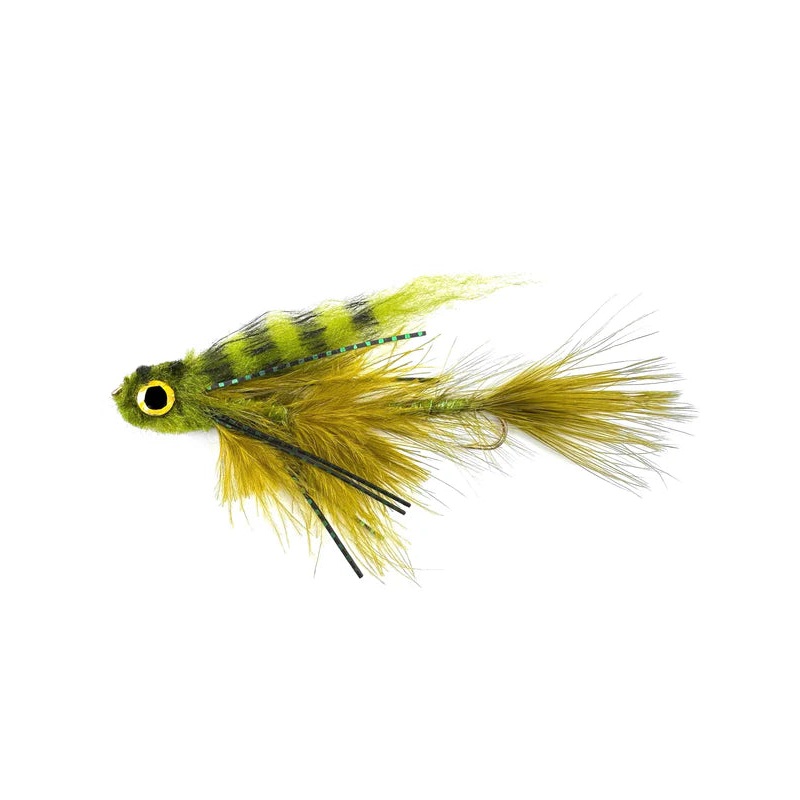 Gonga - Olive