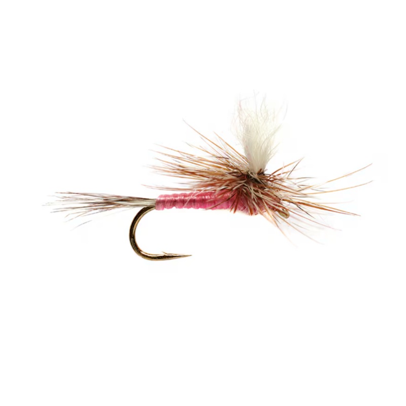 Pink Parachute Adams