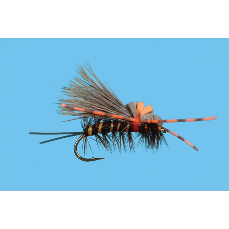 Salmon Fly - Rolling Stone
