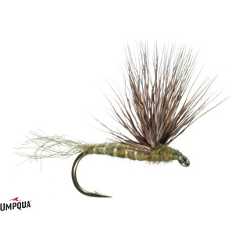 Sparkle Dun - Green Drake