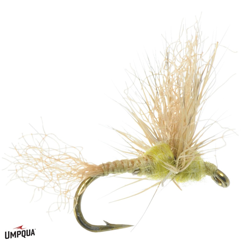 Sparkle Dun - PMD Cream/Yellow