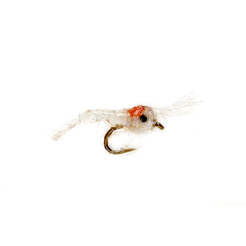 Tim's Mysis Shrimp - White