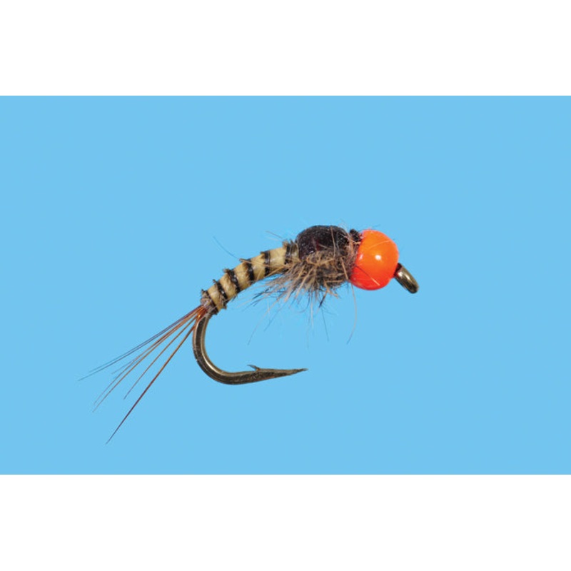 Tungsten Sunkist