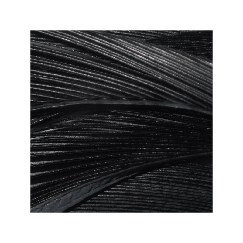Goose Biots | Black