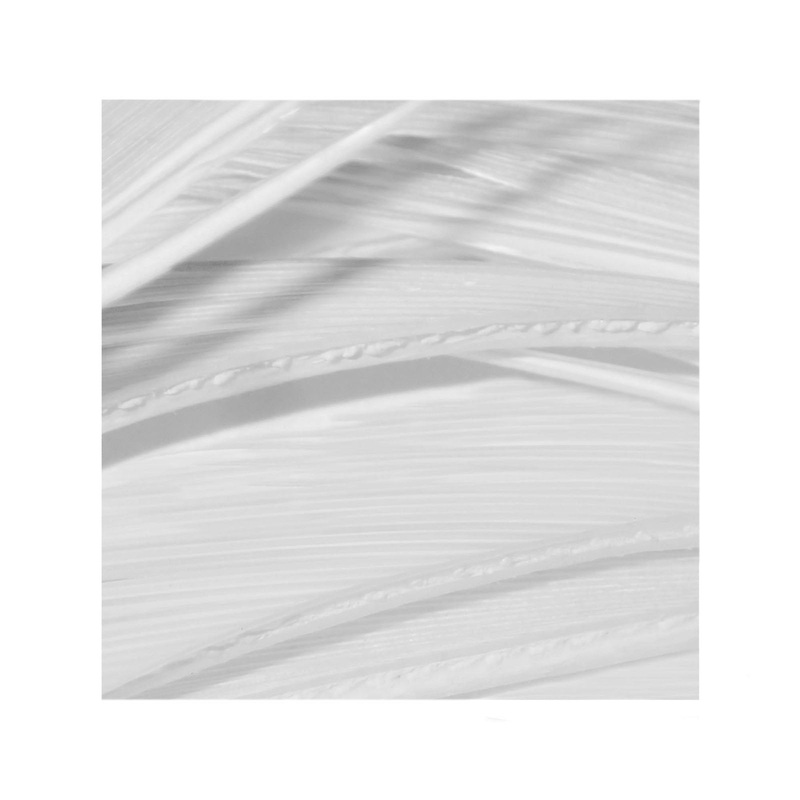 Goose Biots | White