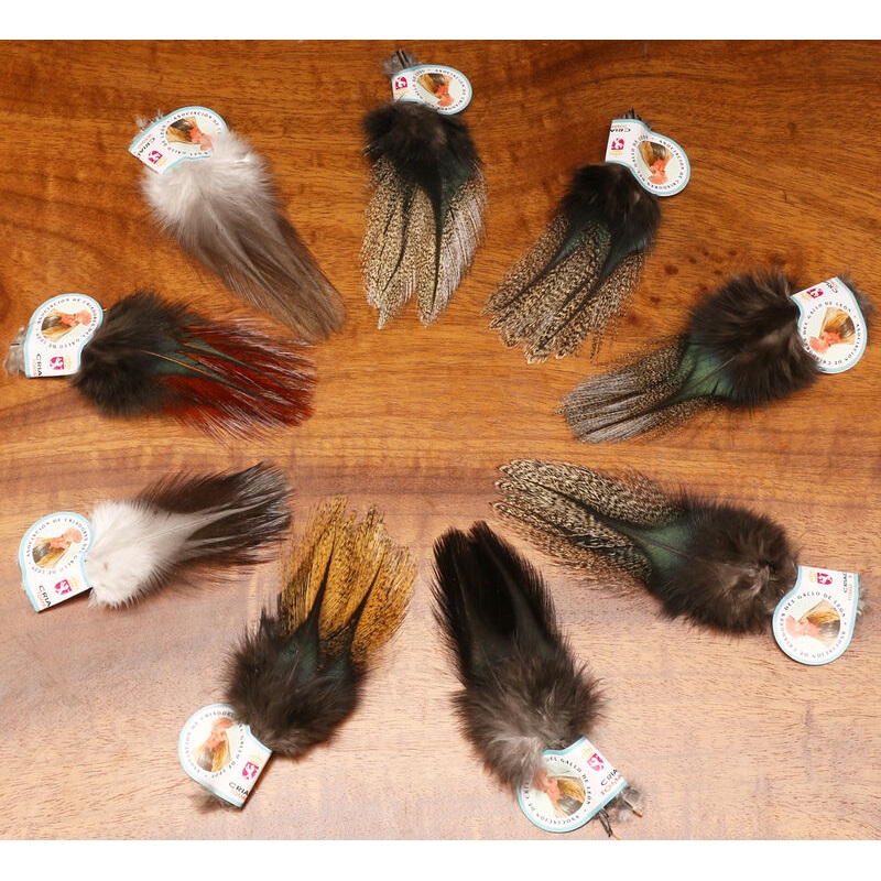 Coq De Leon - Hareline