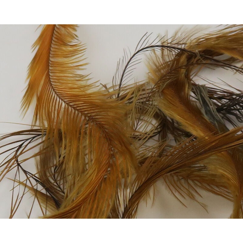 Emu Feathers