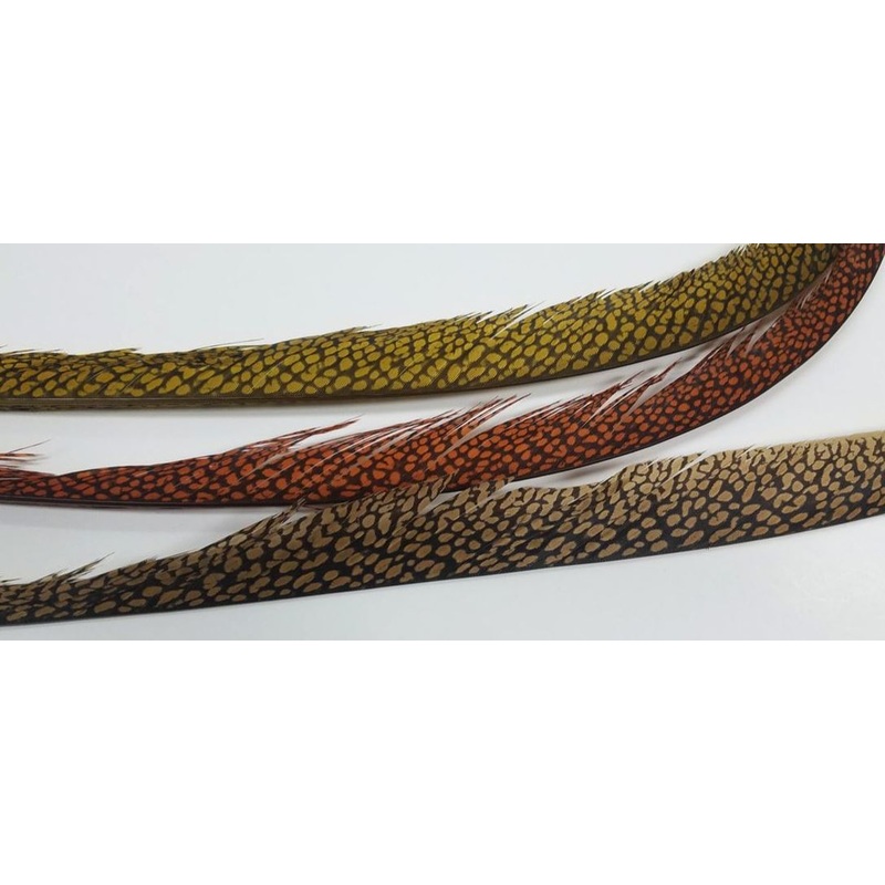 Golden Pheasant Center Tail - Piece