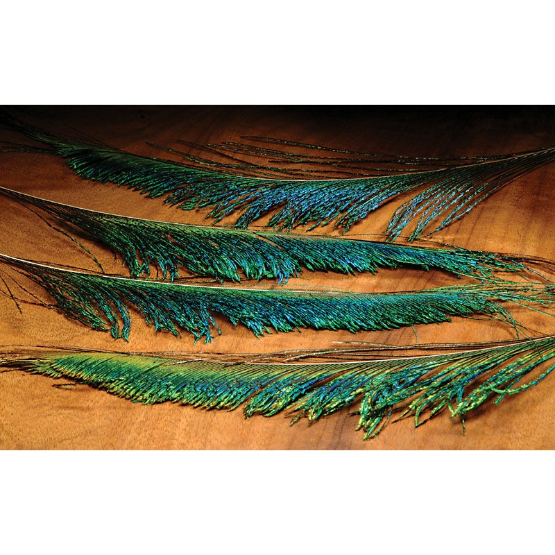 Hareline Peacock Swords