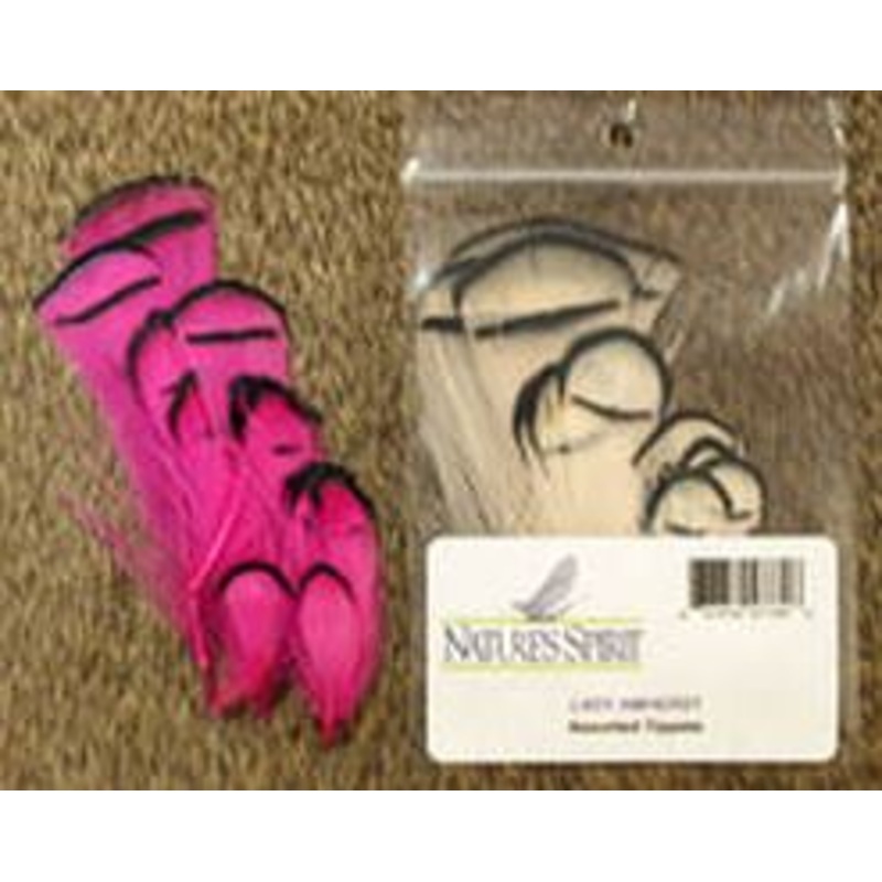 Lady Amherst Tippet Assortment