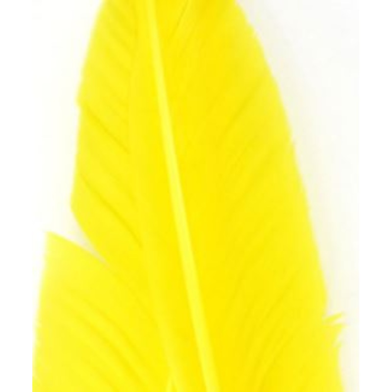 Nature's Spirit Goose Quills