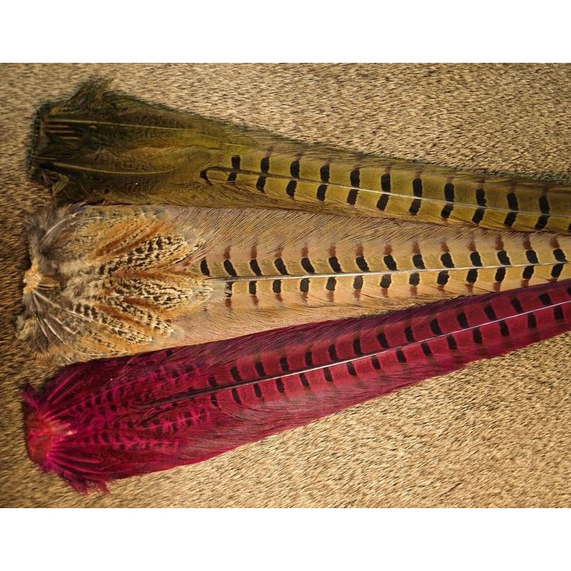 Ringneck Pheasant Tail Clumps