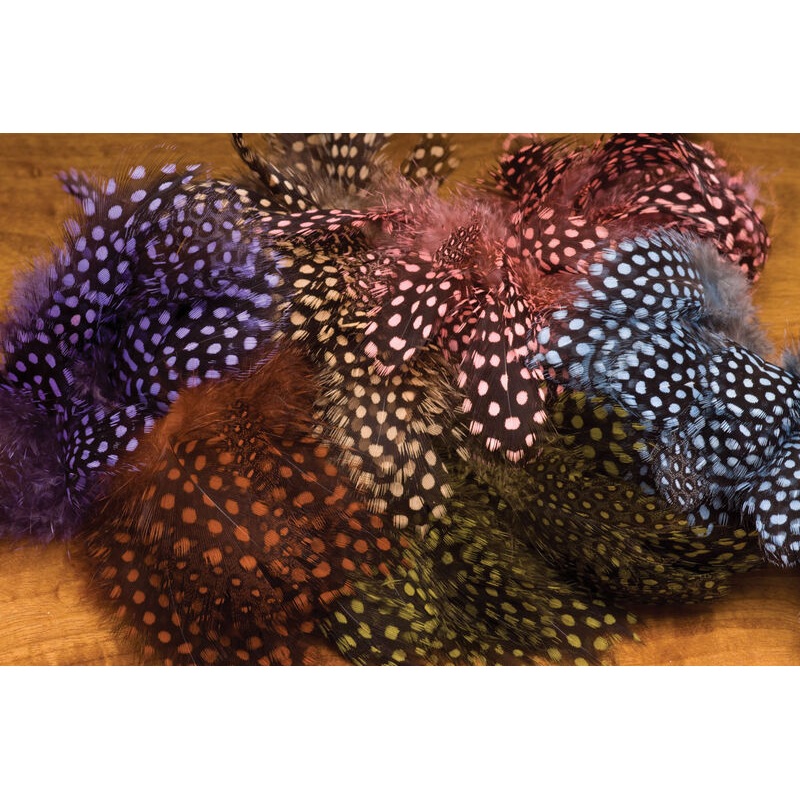 Strung Guinea Feathers